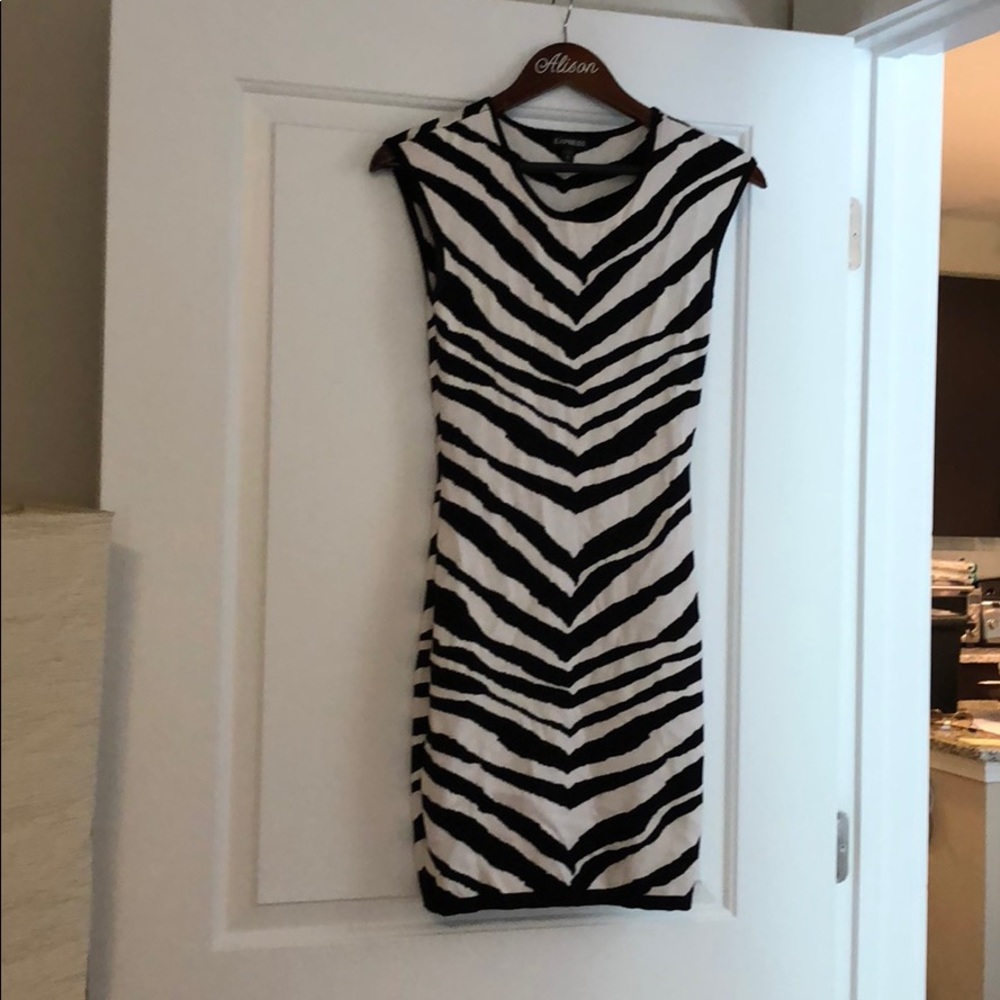 Express Zebra Print Dress